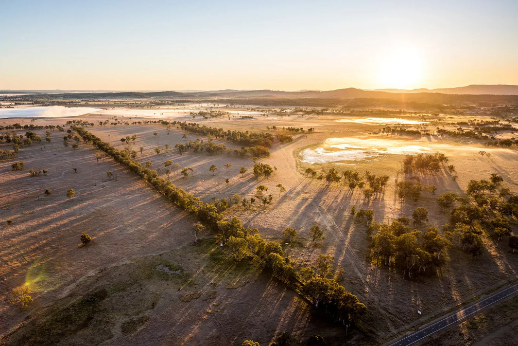Australian Wagyu: A Legacy of Japanese Excellence Down Under