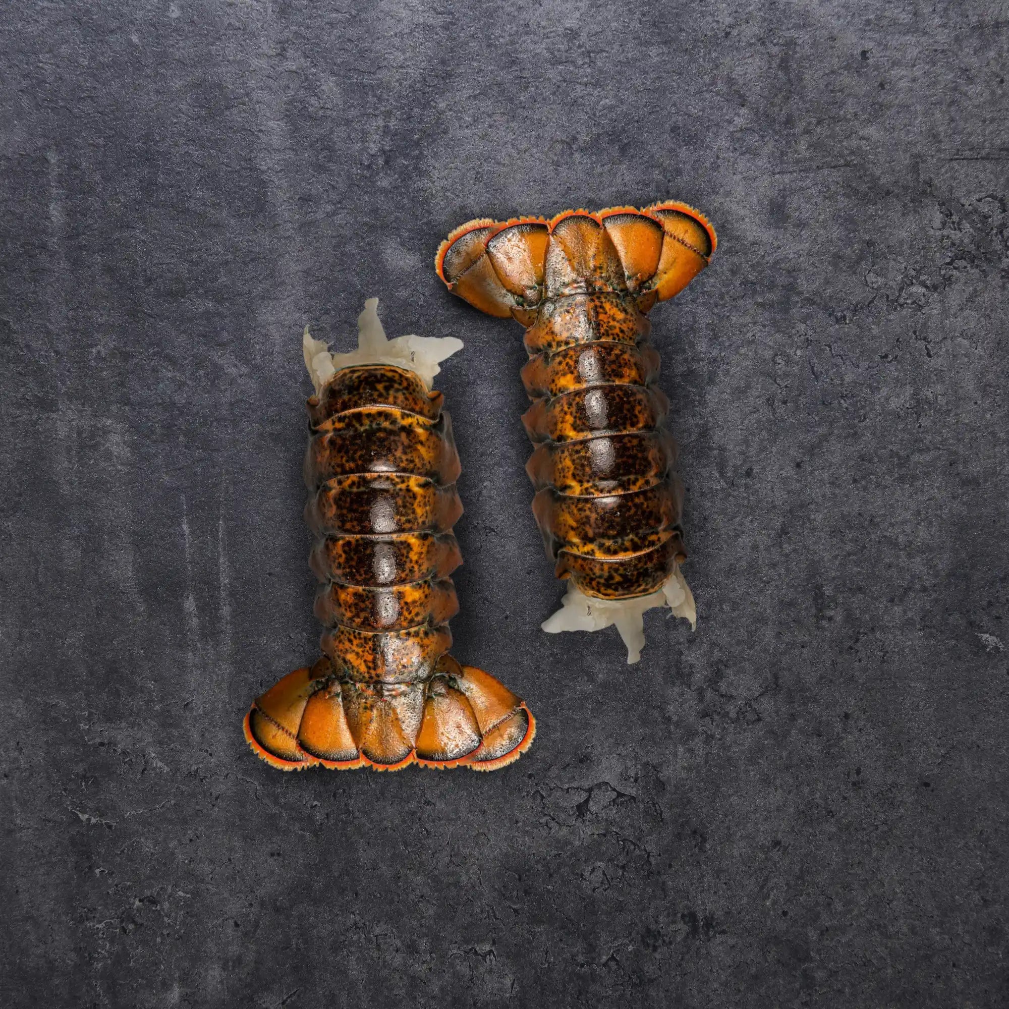 6 oz. Lobster Tails